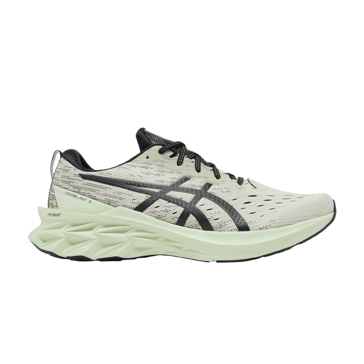Asics Novablast 2 'Birch Black'