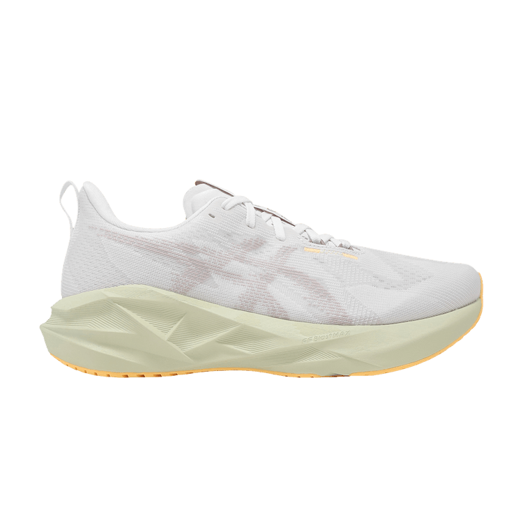 ASICS Novablast 5 2E Wide 'White Fawn'