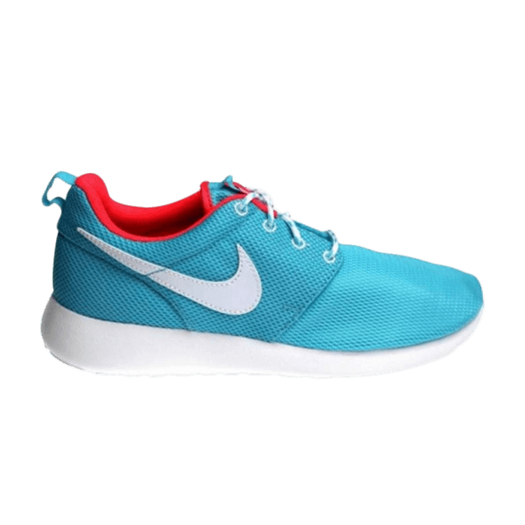 Nike Roshe Run GS