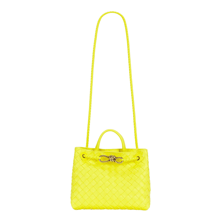 Bottega Veneta Small Andiamo 'Sulfur/Muse B'