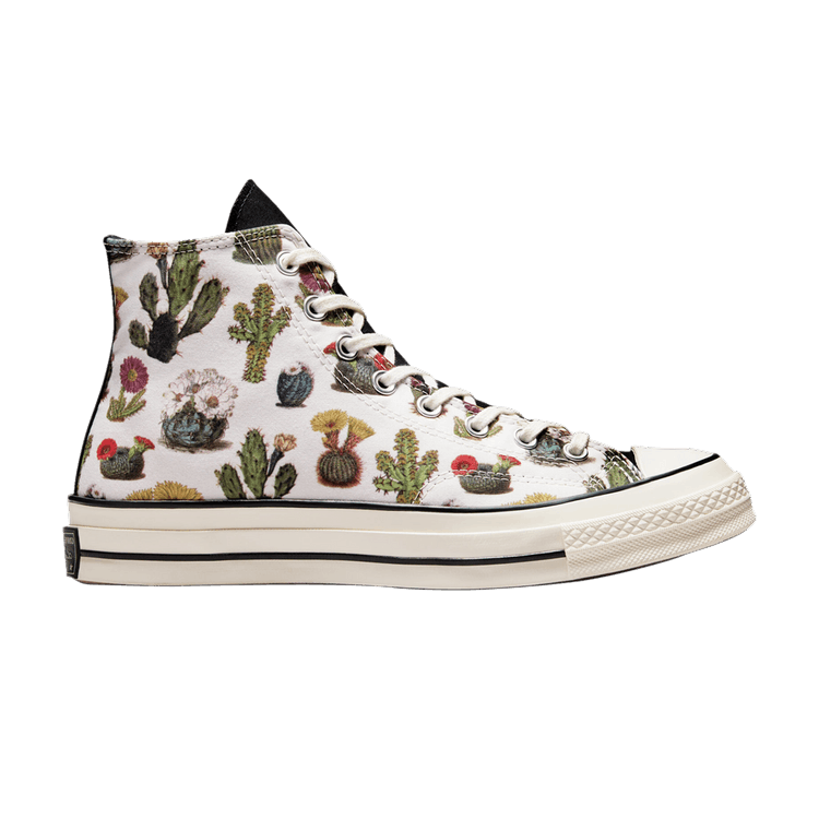 Converse Chuck 70 High 'Succulents'