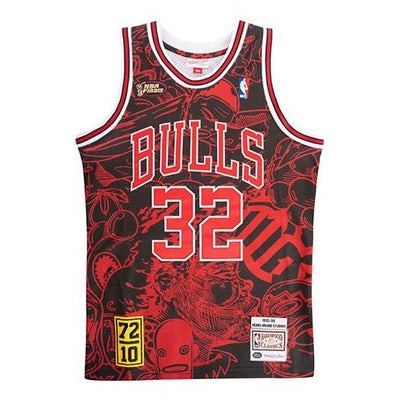 Mitchell & Ness NBA x Hebru Brantley 95-96  32