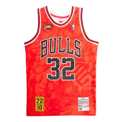 Mitchell & Ness NBA x Hebru Brantley 95-96  32