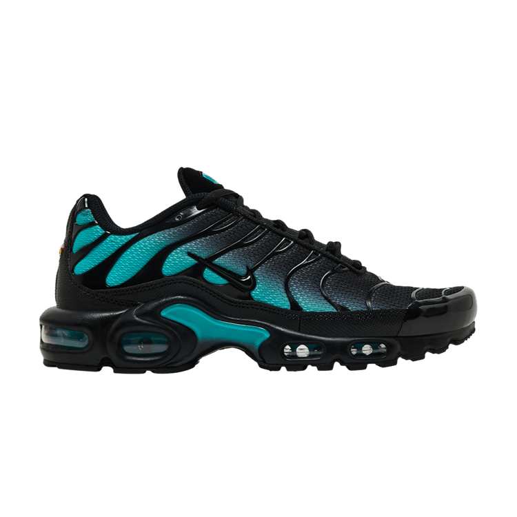 Nike Air Max Plus 'Black Dusty Cactus'