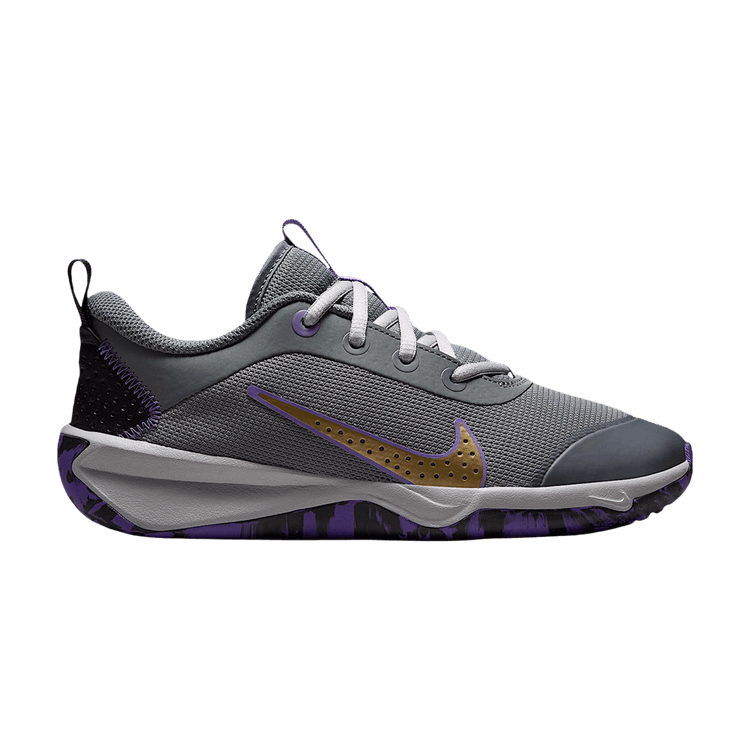 Nike Omni Multi-Court Indoor Court GS 'Smoke Grey Action Grape Light Smoke Grey Metallic Gold'