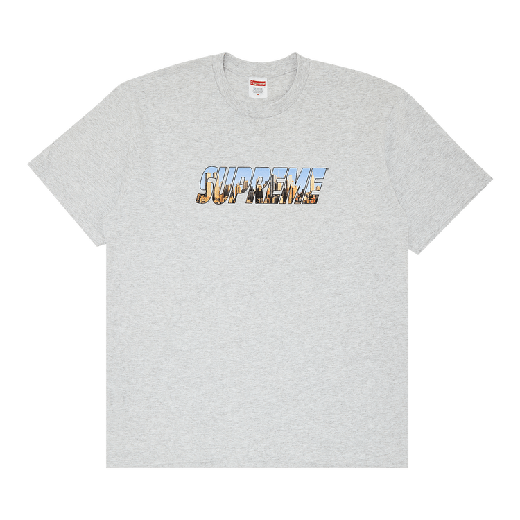 Supreme Gotham Tee 'Ash Grey'