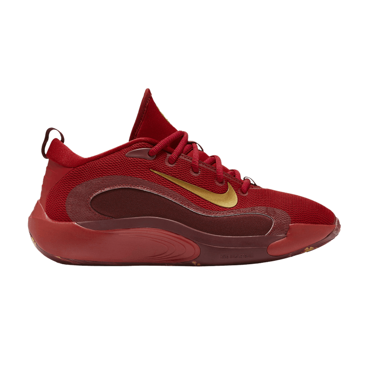 Nike IsoFly GS 'Gym Red Metallic Gold'