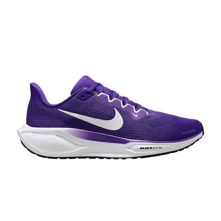 Nike Wmns Pegasus 41 'Court Purple'