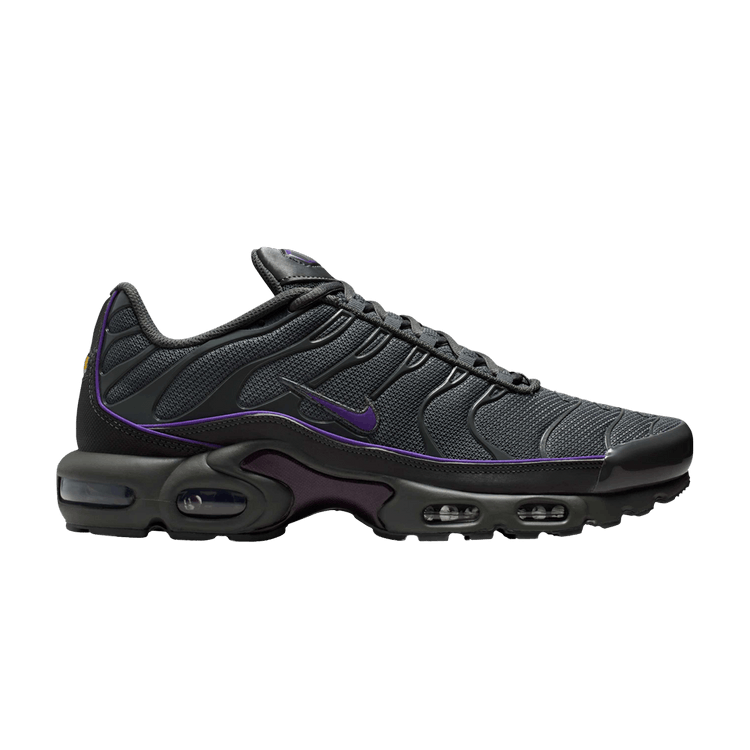 Nike Air Max Plus 'Iron Grey Wild Grape'