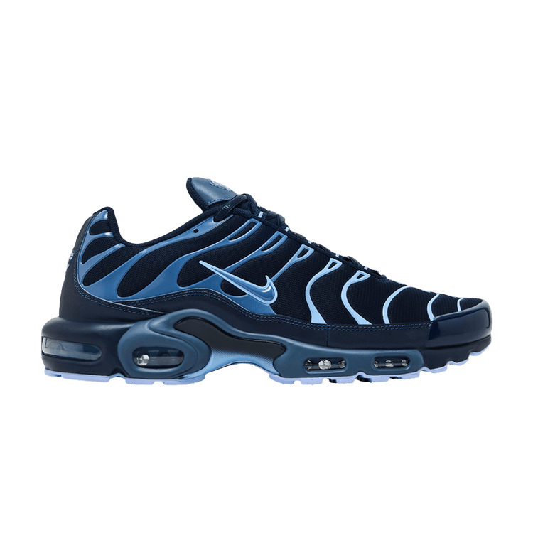 Nike Air Max Plus 'Obsidian Aluminum'