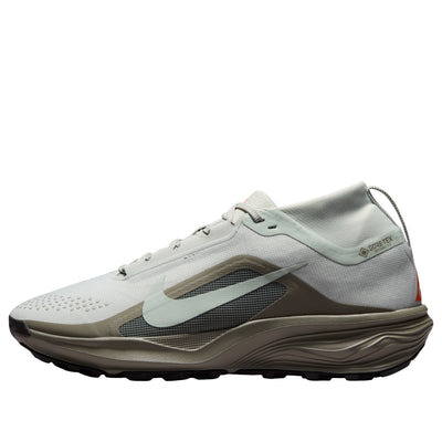 Nike x ACG Pegasus Trail Gore Tex 'Light Silver Army'