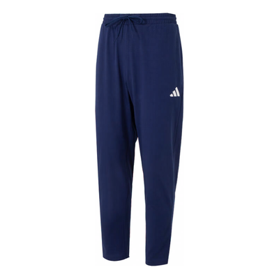 adidas Essentials Small Logo Single Pants Asia Sizing 'Blue'