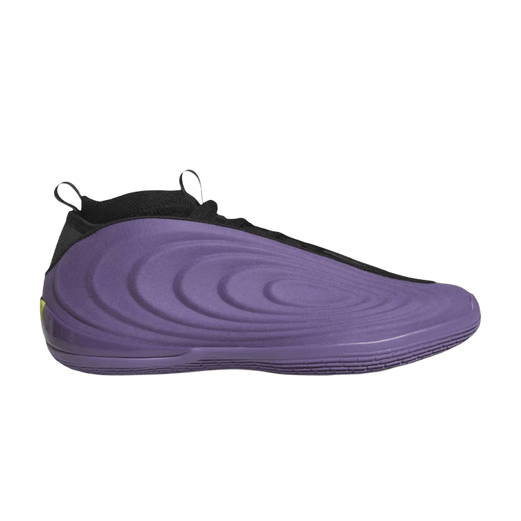 adidas Harden Vol. 10 Matte Purple