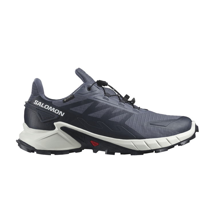 Salomon Supercross 4 GORE-TEX 'Grisaille Carbon'