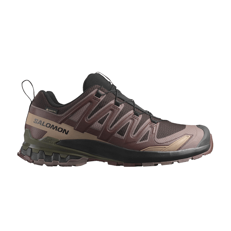 Salomon XA Pro 3D V9 GORE-TEX 'Rum Raisin'