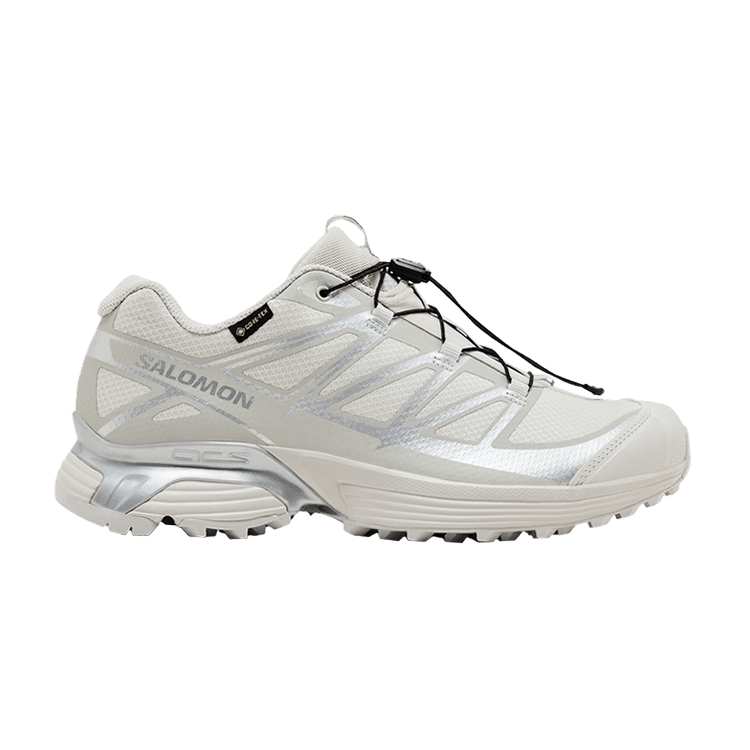 Salomon XT-Pathway GORE-TEX 'Lunar Rock'
