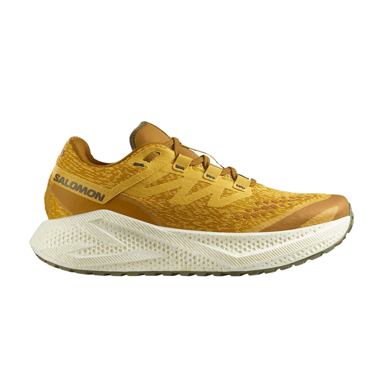 Salomon Aero Glide 3 GRVL 'Spicy Mustard'