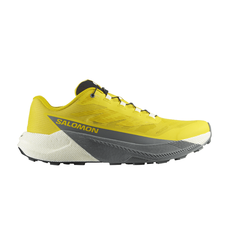 Salomon Pulsar 'Incaberry'