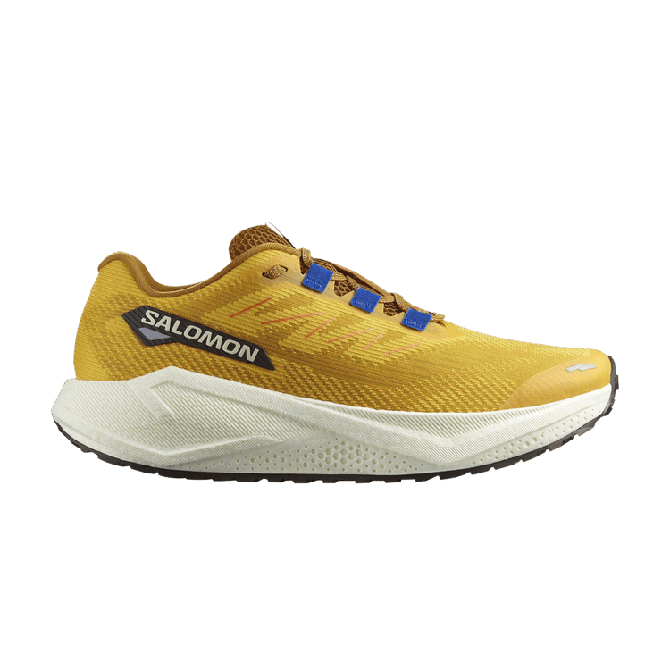 Salomon Aero Blaze 3 GRVL 'Spicy Mustard'