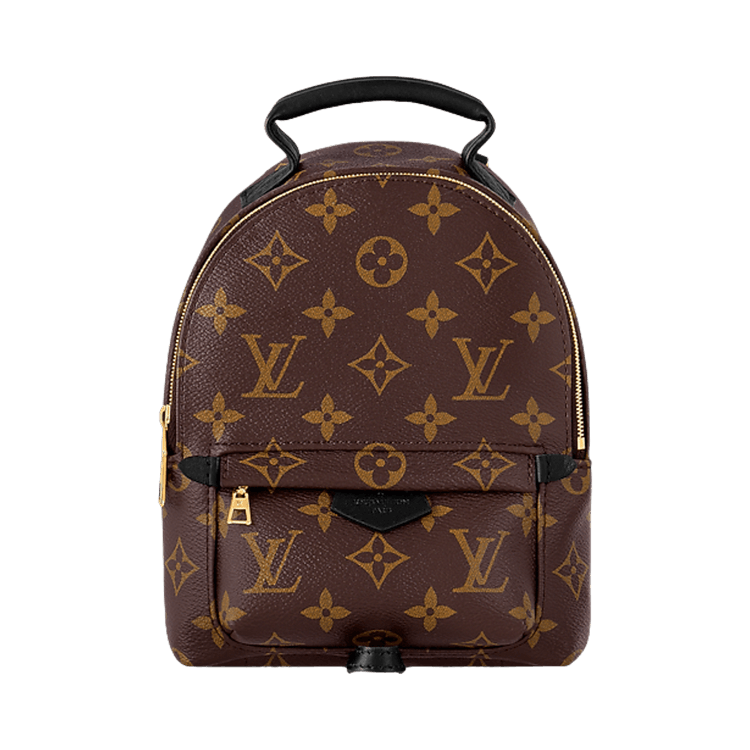 Louis Vuitton Palm Springs Mini 'Brown Monogram Canvas'
