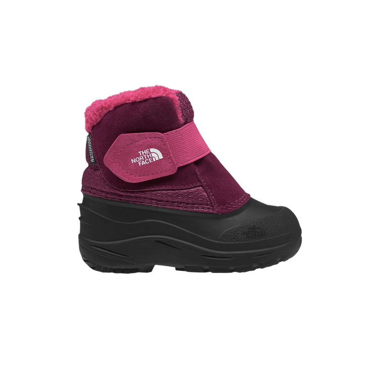 The North Face Alpenglow 2 Toddler 'Boysenberry Black'