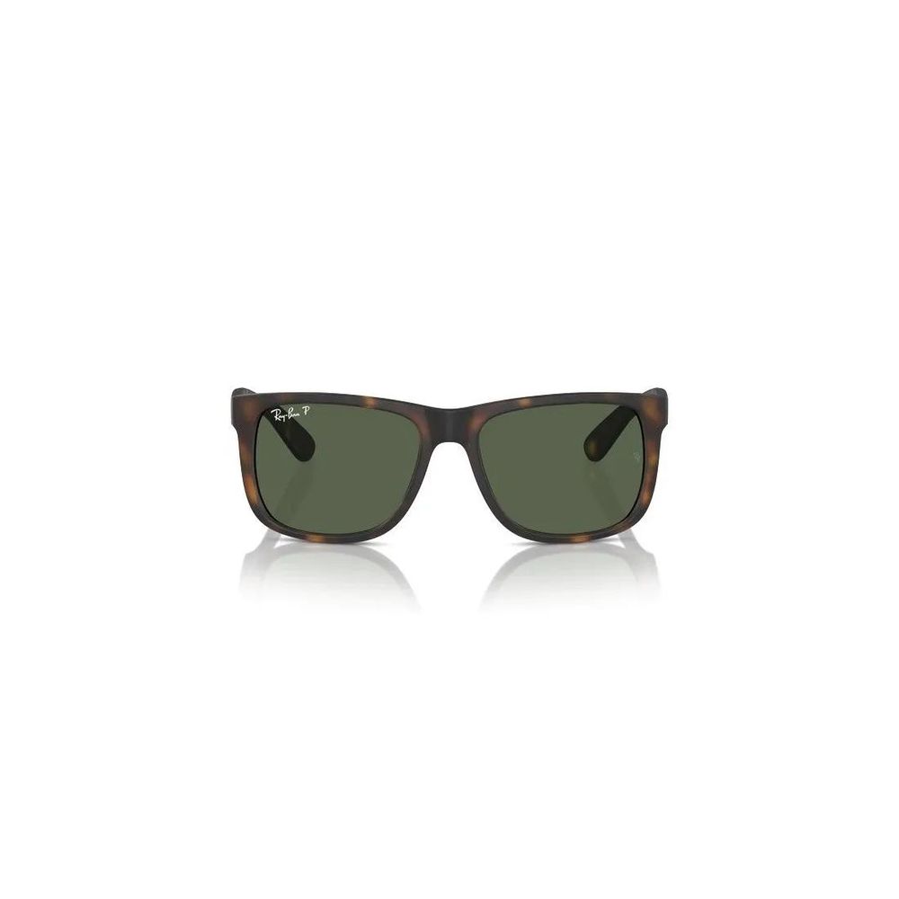 Ray-Ban Justin Polarized Sunglasses