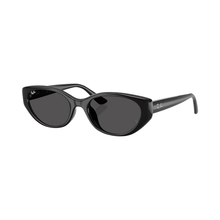 Ray-Ban Bio-Based Sunglasses 'Black/Dark Grey'