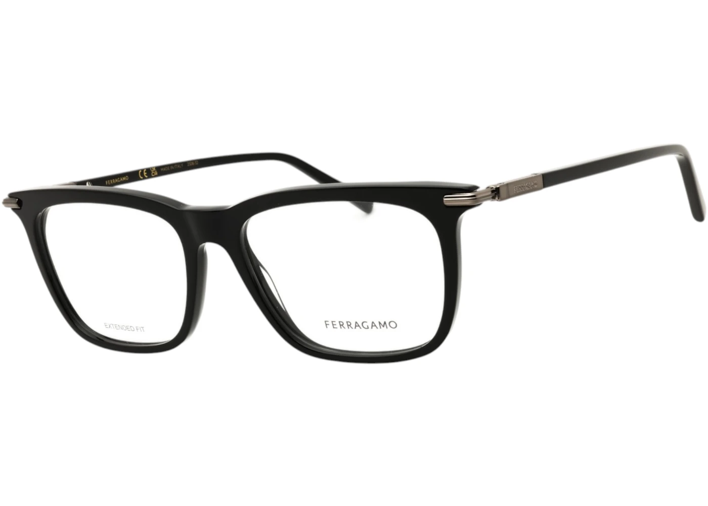 Ferragamo Acetate (SF3007-001) Sunglasses Black