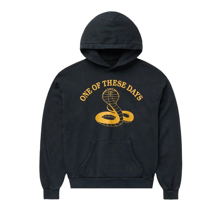 One Of These Days Cobra Pullover Hoodie 'Washed Black'