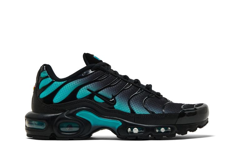 Nike Air Max Plus 'Black Dusty Cactus'