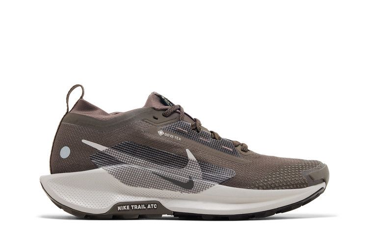 Nike Pegasus Trail 5 GORE-TEX 'Ironstone Velvet Brown'