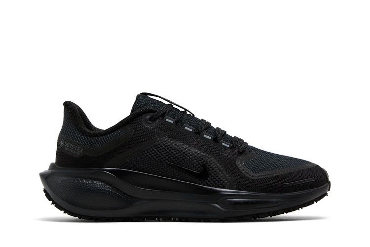 Nike Wmns Air Zoom Pegasus 41 GORE-TEX 'Black Anthracite'