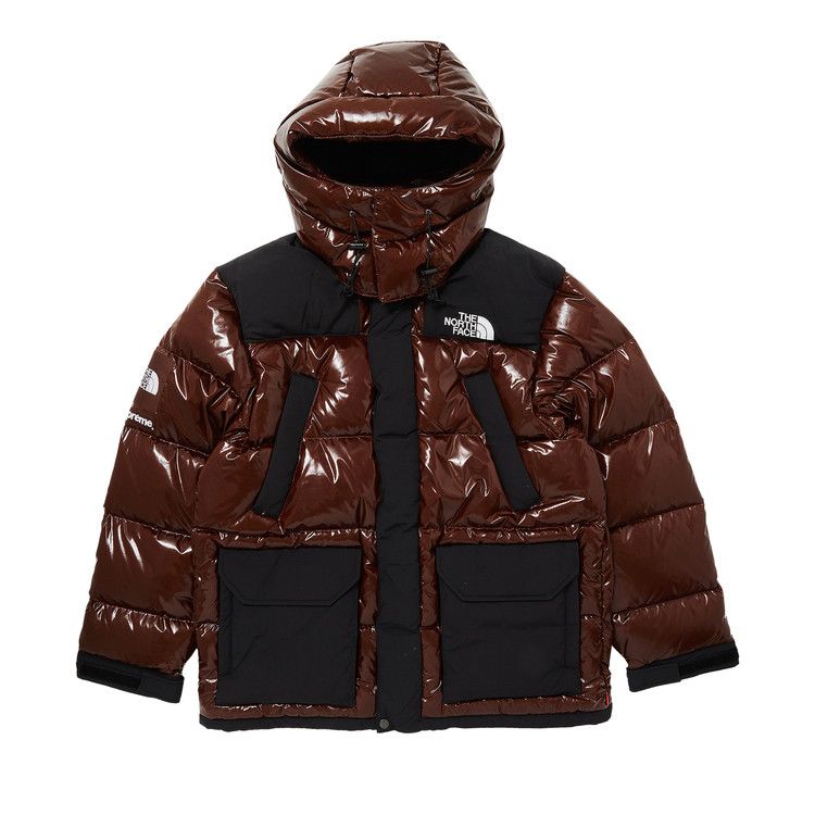 Supreme x The North Face 700-Fill Down Parka 'Brown'