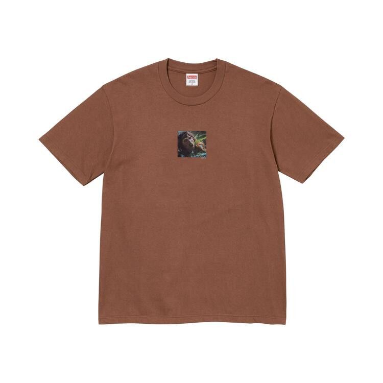 Supreme x The Exorcist Puke Tee 'Brown'