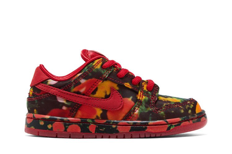 The Wizard of Oz x Nike Dunk Low SB TD 'Poppy Field'