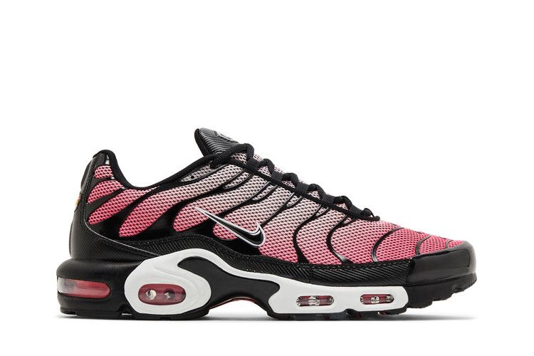 Nike Air Max Plus 'All Day'
