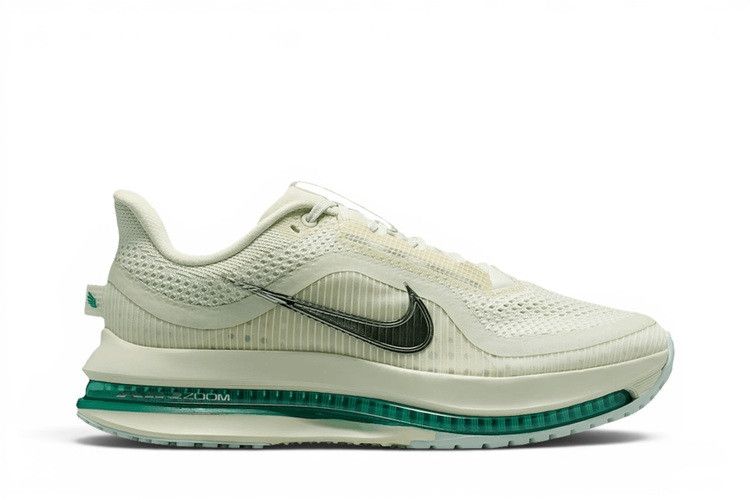 Nike Wmns Pegasus Premium 'Sea Glass'