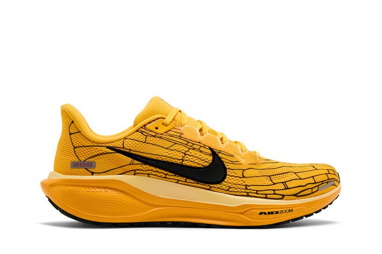 Nike Air Zoom Pegasus 41 LV8 'Modern Mayfly Pack'