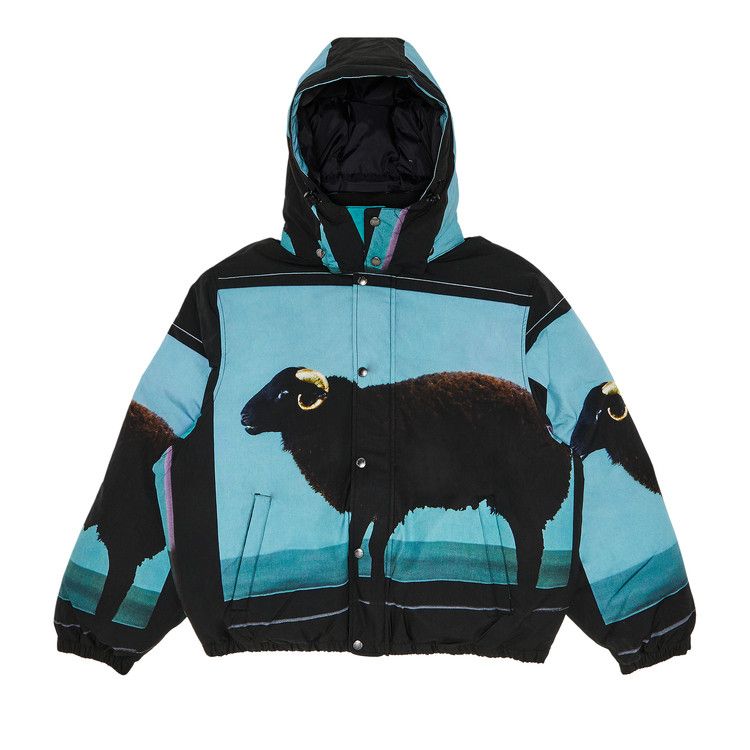 Supreme x Damien Hirst Down Puffer Jacket 'Black'
