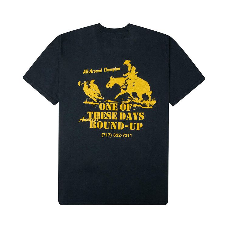 One Of These Days Round Up T-Shirt 'Washed Black'
