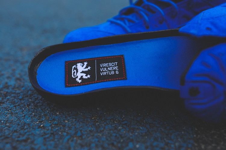 Nike LeBron 11 EXT Suede QS 'Game Royal'