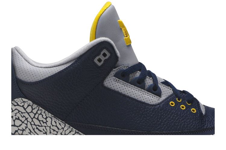 Air Jordan 3 Retro 'Michigan Wolverines' PE