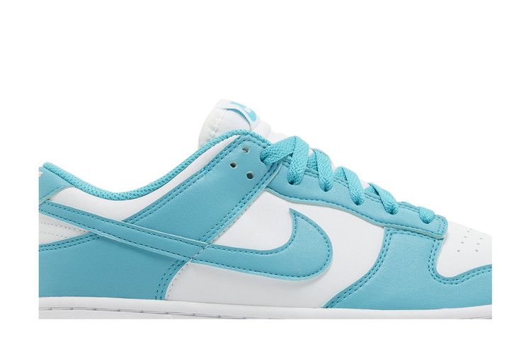 Nike Wmns Dunk Low Next Nature 'Dusty Cactus'