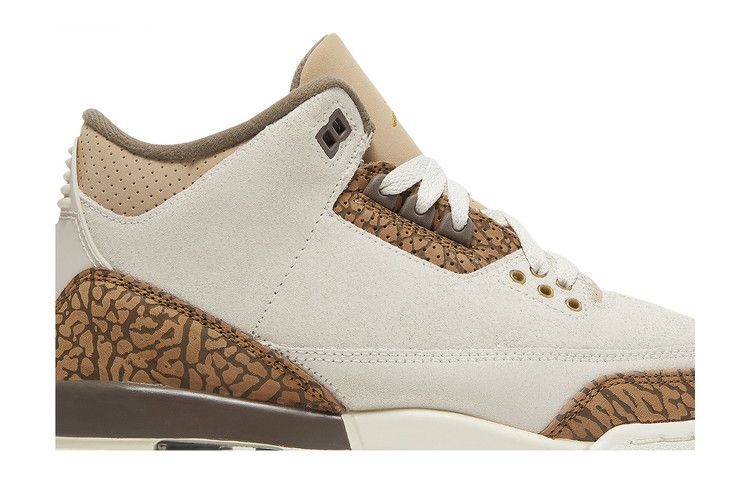 Air Jordan 3 Retro GS 'Palomino'