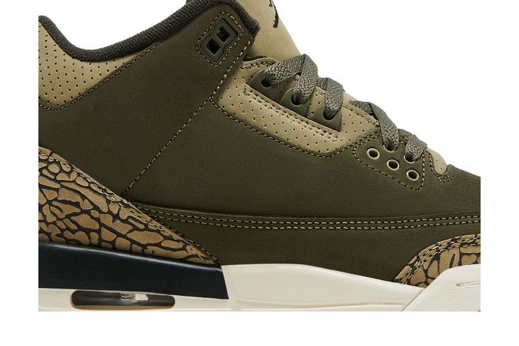 Air Jordan 3 Retro GS 'Family Affair'