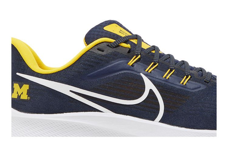 Nike Air Zoom Pegasus 39 'Michigan'