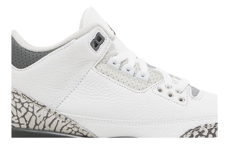 Air Jordan 3 Retro GS 'Hide N' Sneak'