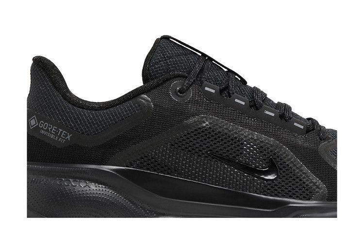 Nike Air Zoom Pegasus 41 GORE-TEX 'Black Anthracite'