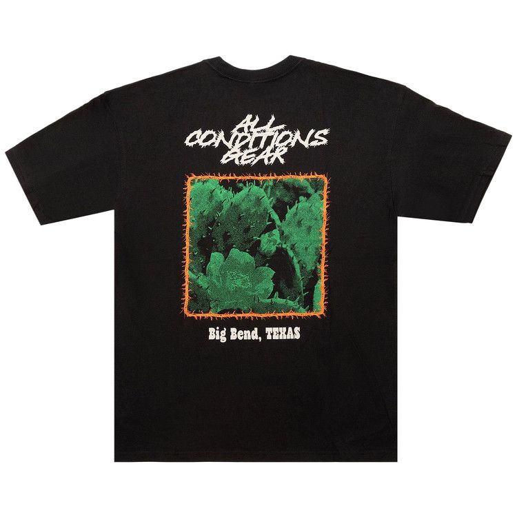 Nike ACG Cactus Tee 'Black'