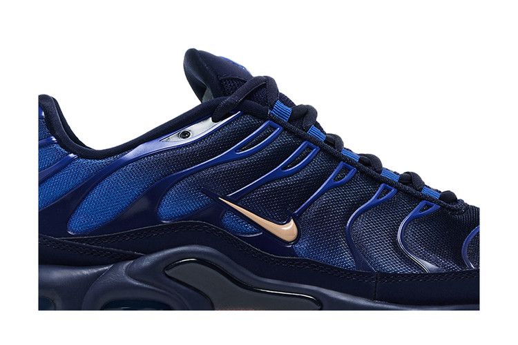 Nike Air Max Plus 'French Football Federation'